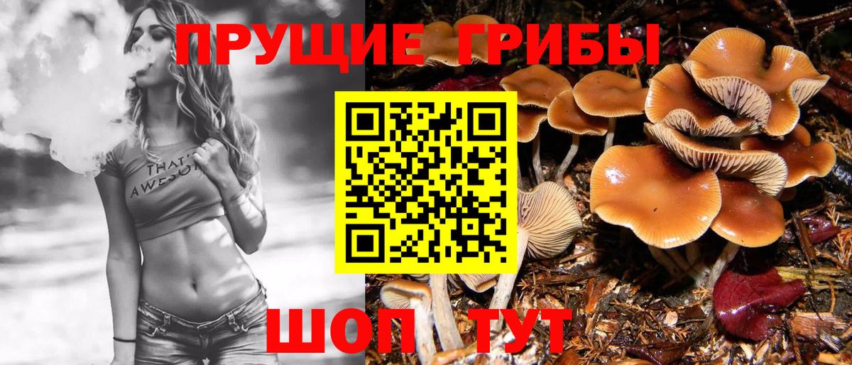 Псилоцибиновые грибы GOLDEN TEACHER  закладка  Кудрово  Вход с VPN 